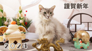 投稿サムネイル