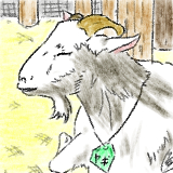 tomikashi
